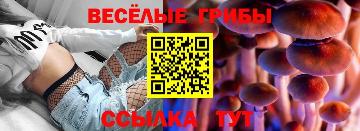 Галлюциногенные грибы Psilocybe  купить  сайты  Анжеро-Судженск  Вход с VPN  Галлюциногенные грибы мицелий 